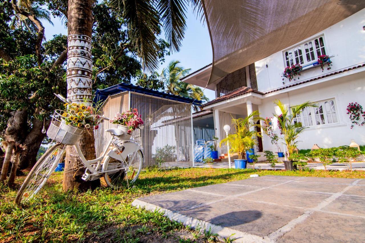 Bed and Breakfast White House In Goa, Truly Amazing Experience Saligao Exteriér fotografie