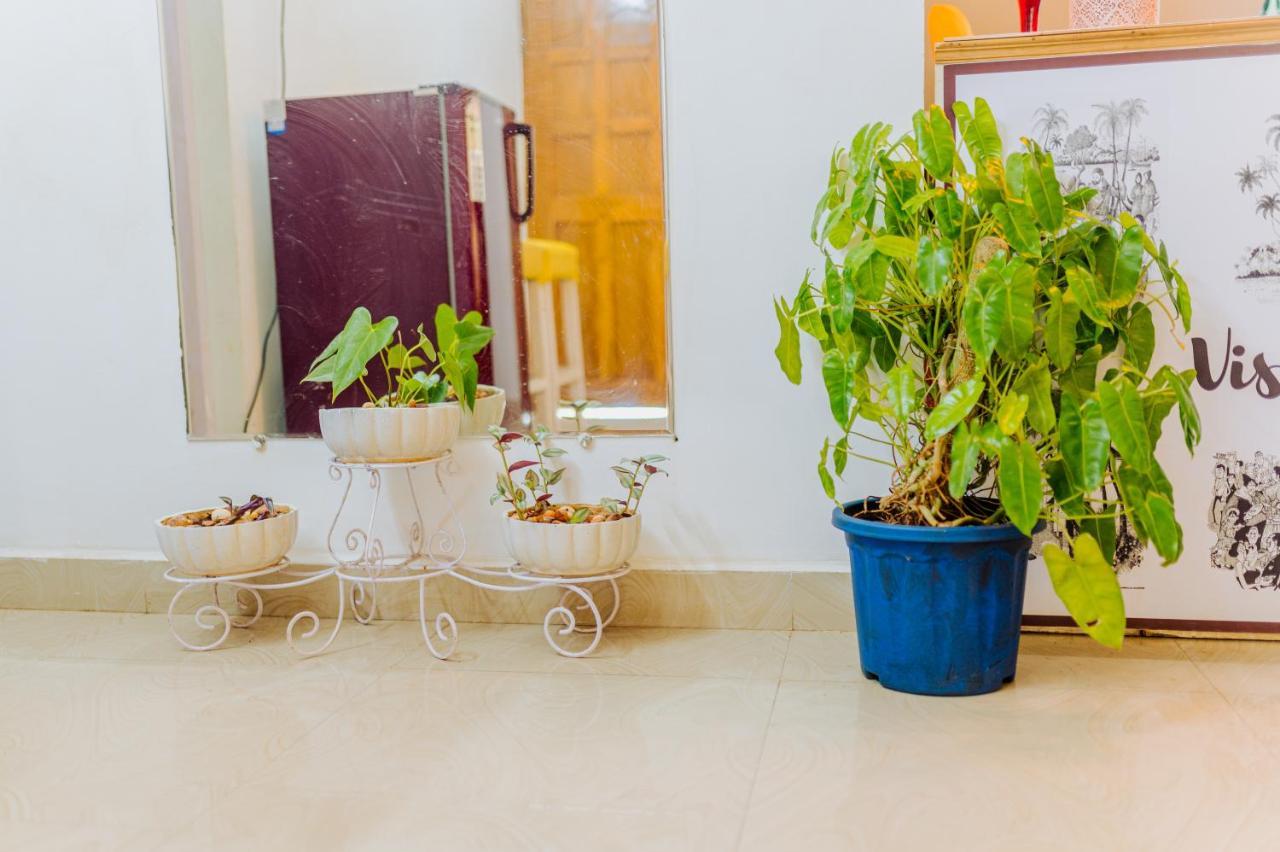 Bed and Breakfast White House In Goa, Truly Amazing Experience Saligao Exteriér fotografie